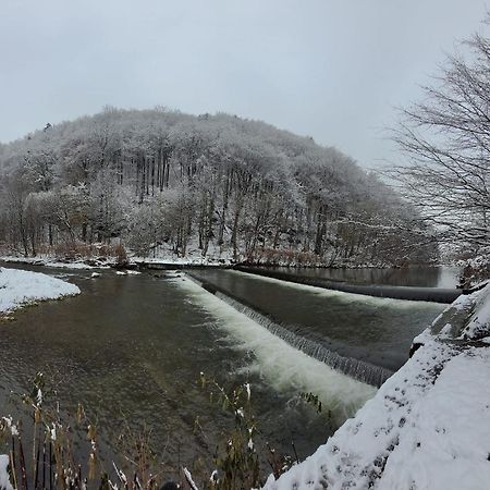 Goscinny Dom Ustroń Buitenkant foto