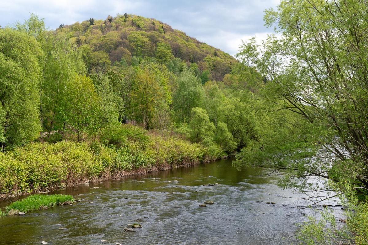 Goscinny Dom Ustroń Buitenkant foto